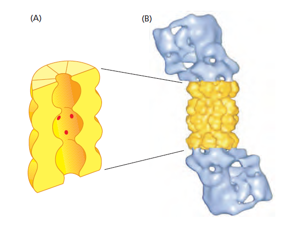 Figure 6-83.png